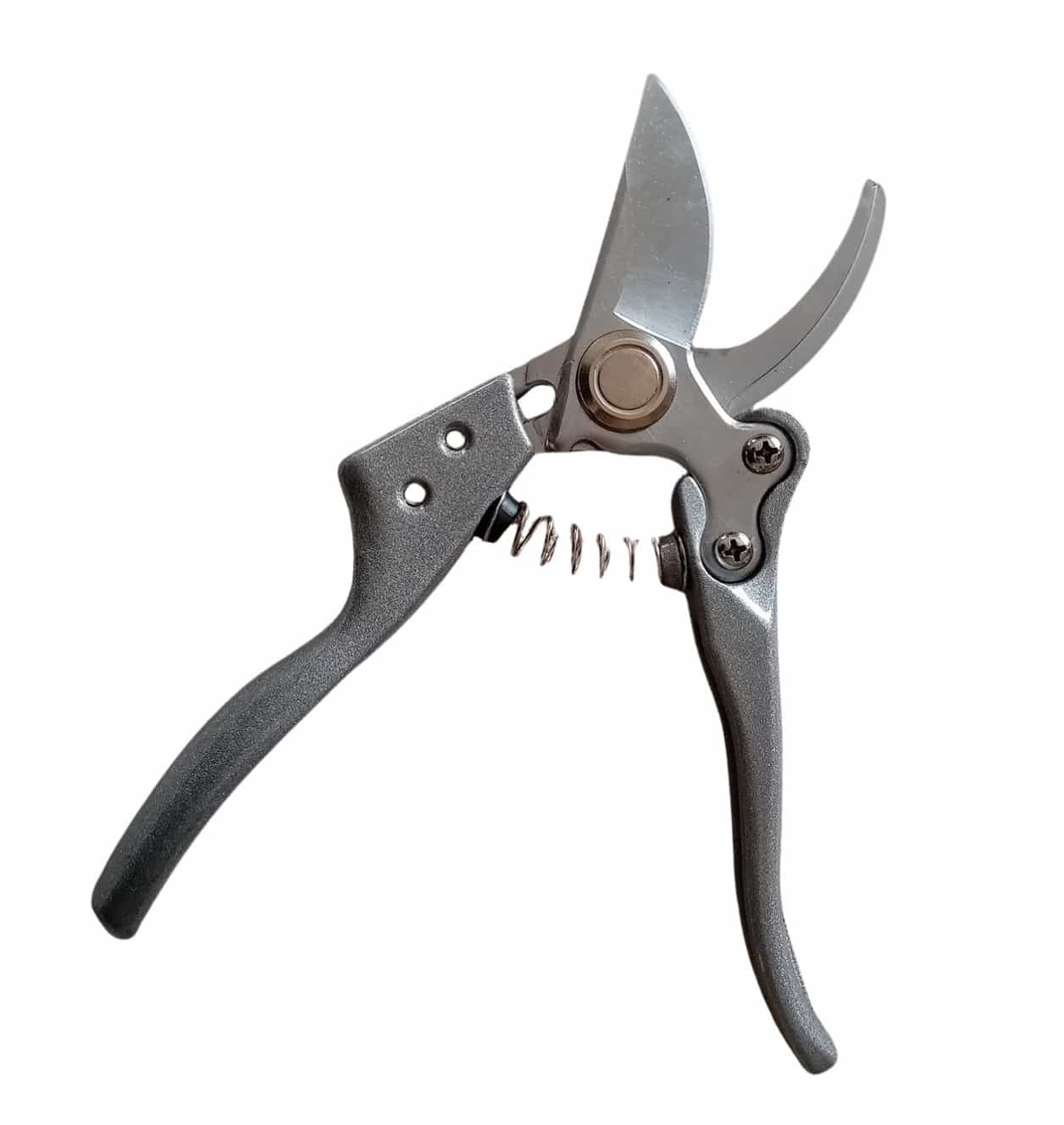 Forbice potatura Steels_IP - GT23-G