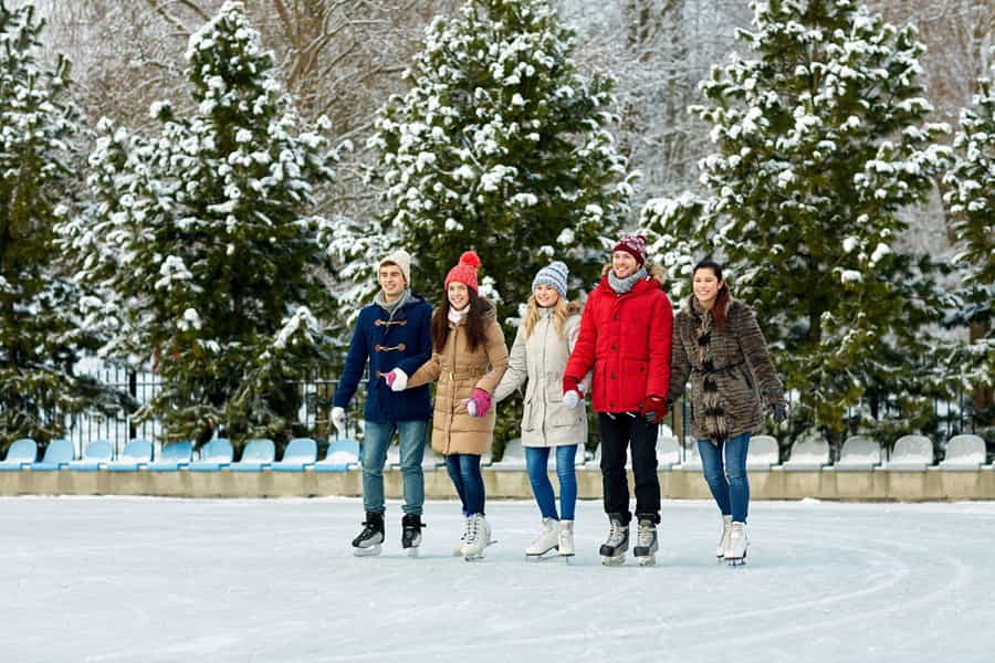 Sport invernali. Pattinaggio su ghiaccio