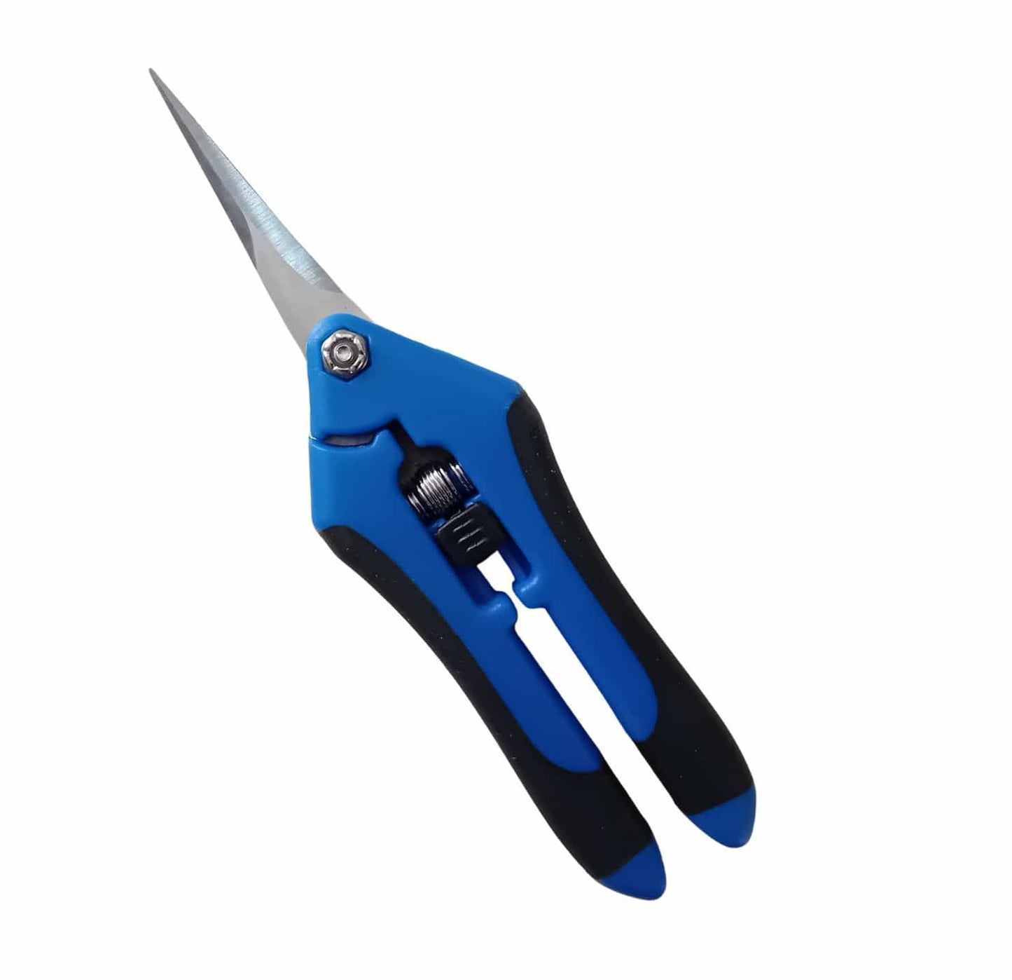 Forbice giardinaggio/bonsai Steels_IP 010BLUE