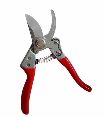 Forbice potatura Steels_IP - GT23-R