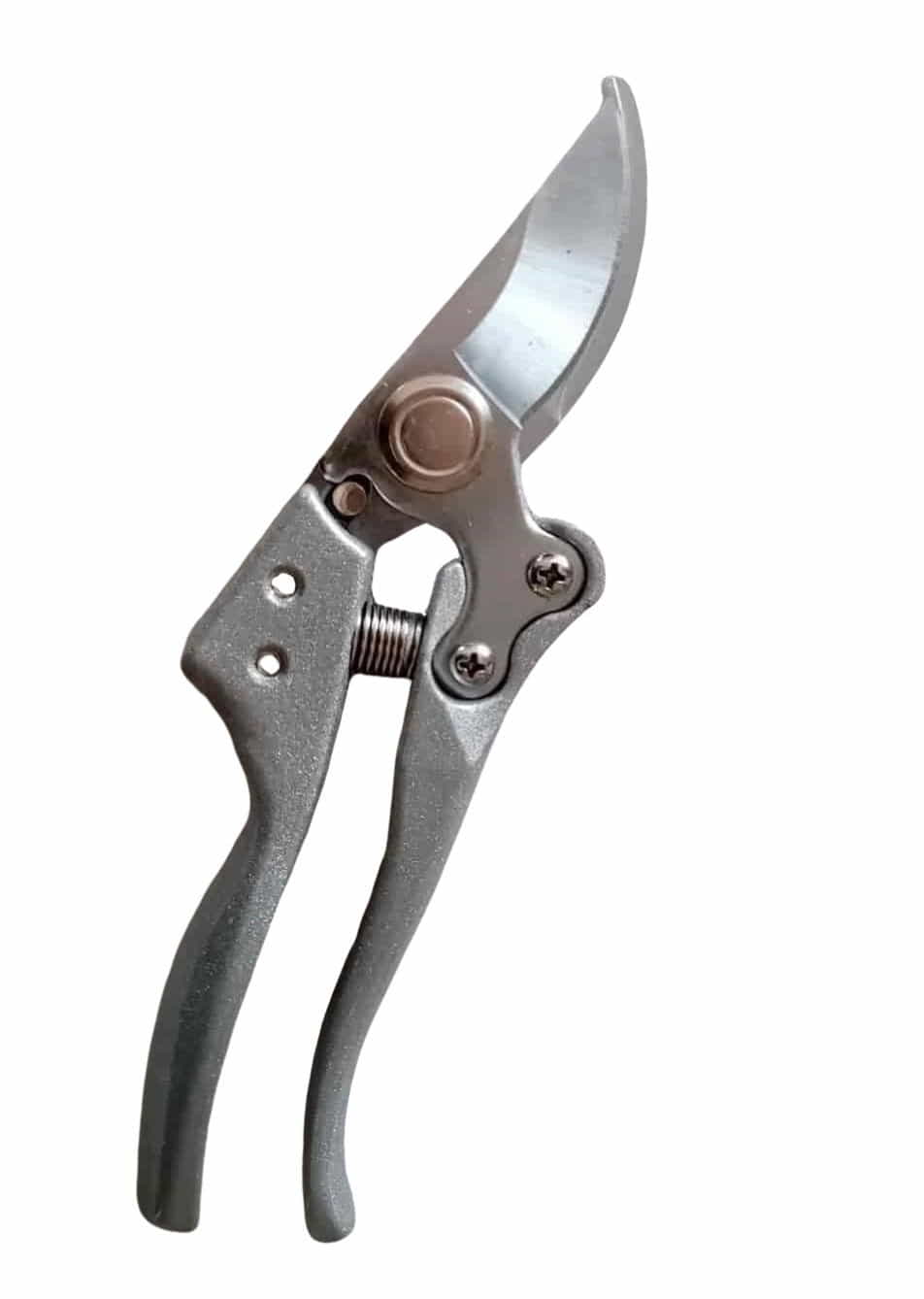 Forbice potatura Steels_IP - GT23-G