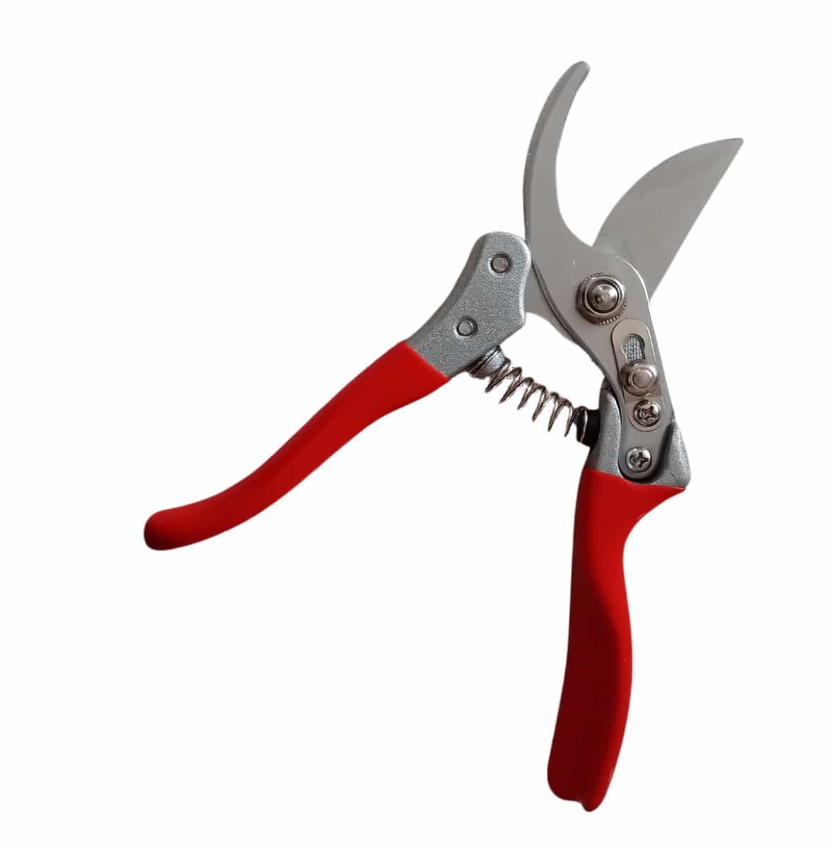 Forbice potatura Steels_IP - GT23-R