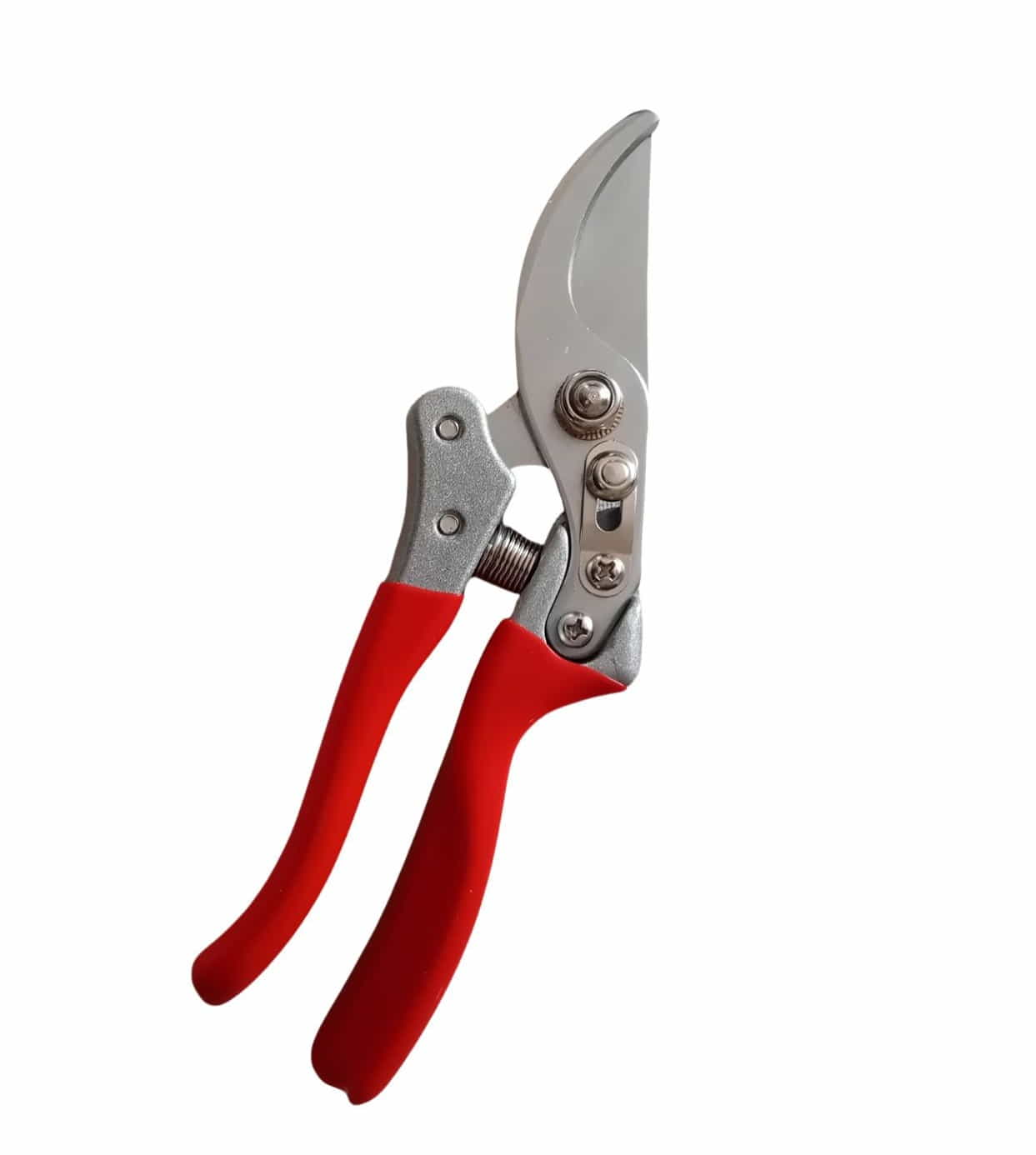 Forbice potatura Steels_IP - GT23-R