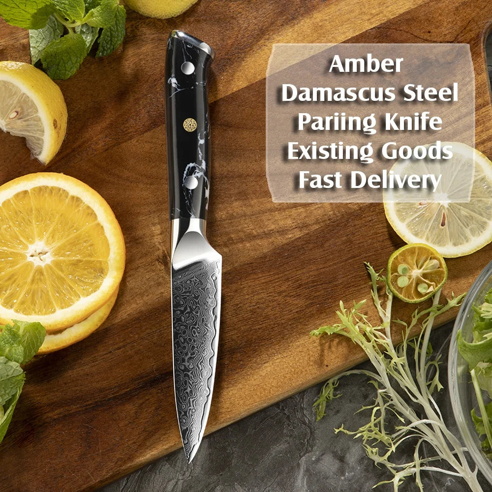 BlackTurquoise Stone Handle Fruit Carving Knife Damascus Paring Knife Kitchen Paring Knife