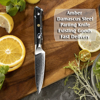 BlackTurquoise Stone Handle Fruit Carving Knife Damascus Paring Knife Kitchen Paring Knife