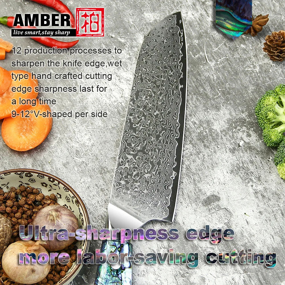 67 Layers Japanese AUS 10 Damascus Steel Kitchen Santoku Kitchen Knife Set with Natural Abalone Handle