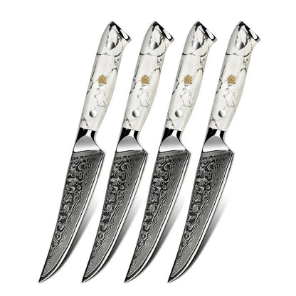 Amber Professional Steak Knives Set of 4 Razor Sharp 4pcs Kitchen Damascus Steak Knife Set With Giftbox Case