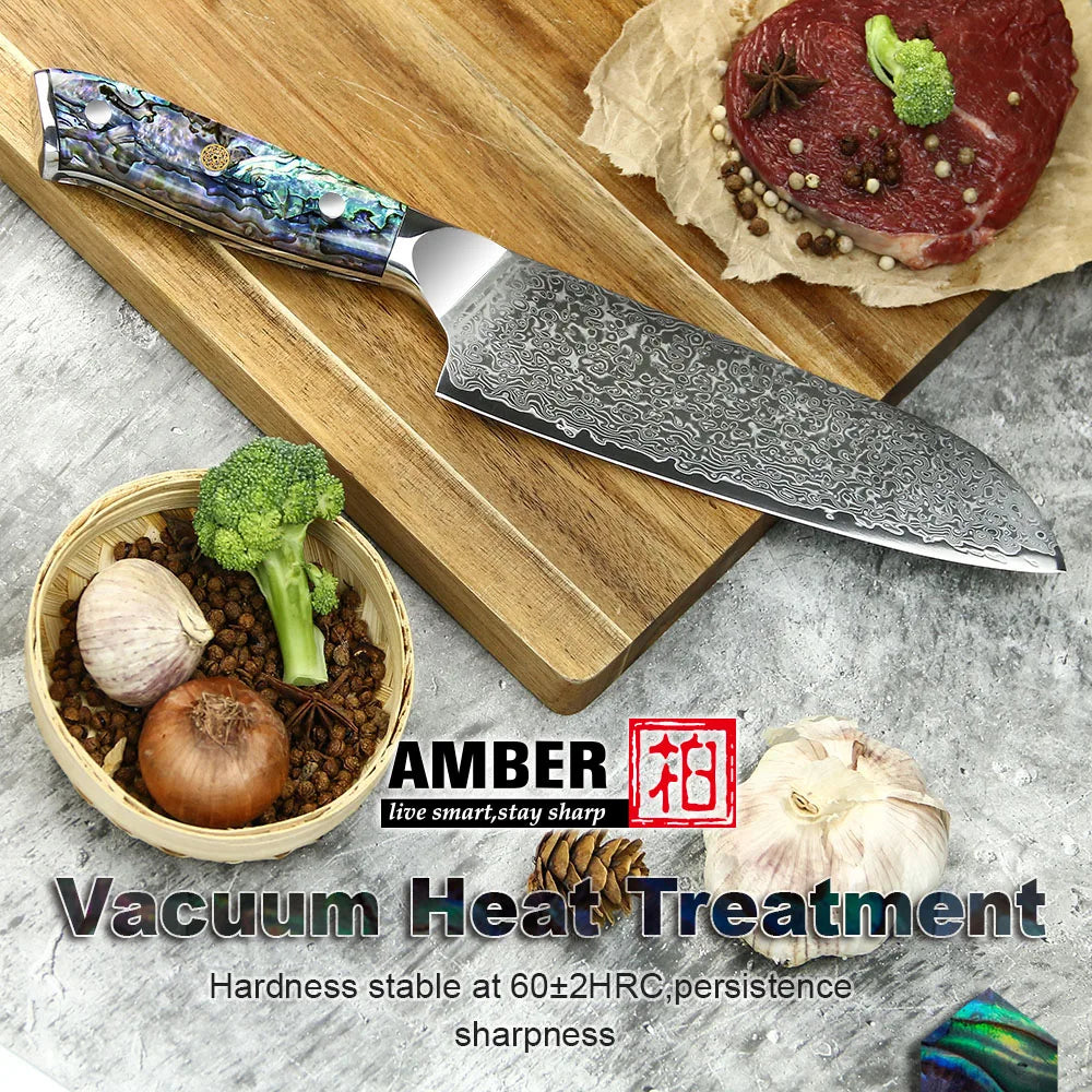 67 Layers Japanese AUS 10 Damascus Steel Kitchen Santoku Kitchen Knife Set with Natural Abalone Handle