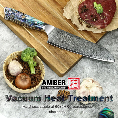 67 Layers Japanese AUS 10 Damascus Steel Kitchen Santoku Kitchen Knife Set with Natural Abalone Handle