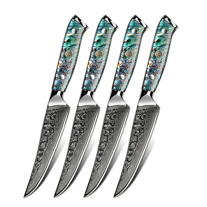 Professional Damascus VG 10 Steel Core 67 Layers Stainless Steel Abalone Handle Kitchen Knives Set