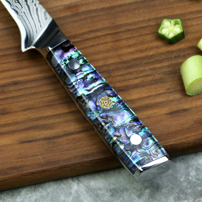 Yangjiang Amber 7 Inch Damascus 45 Layers ultra sharp Boning Fish Knife with Abalone Handle