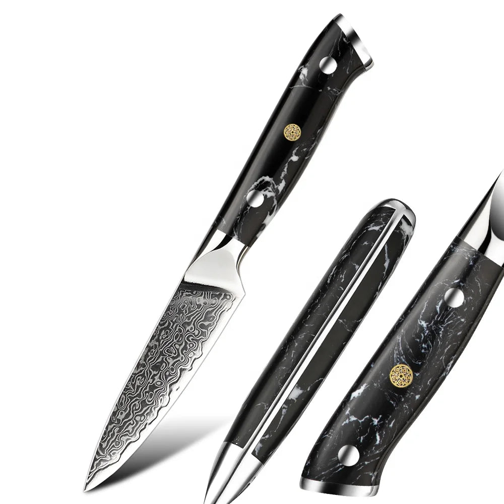 BlackTurquoise Stone Handle Fruit Carving Knife Damascus Paring Knife Kitchen Paring Knife