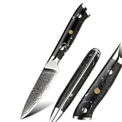BlackTurquoise Stone Handle Fruit Carving Knife Damascus Paring Knife Kitchen Paring Knife