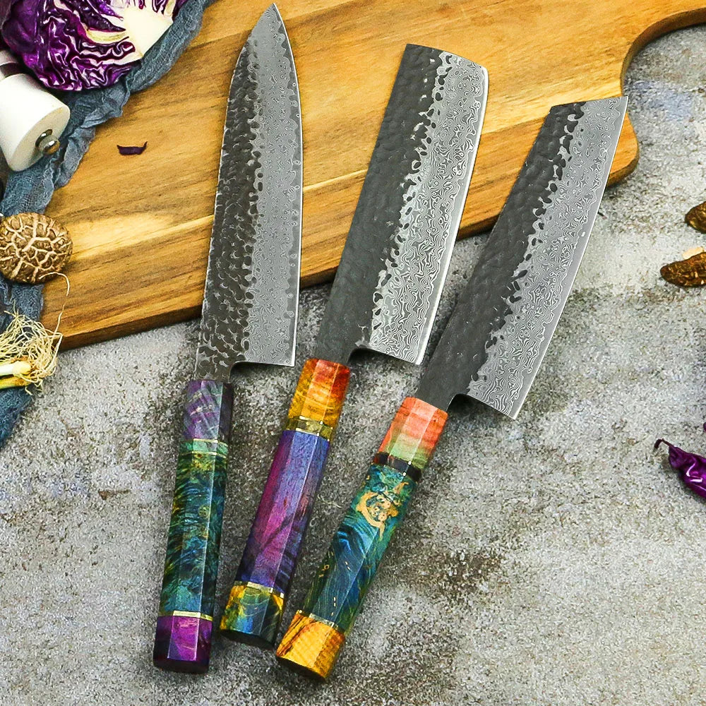 3 Pcs 67 Layers Damascus Japanese VG 10 Steel Stainless Kitchen Knife Set with Stabilized Wood Handle