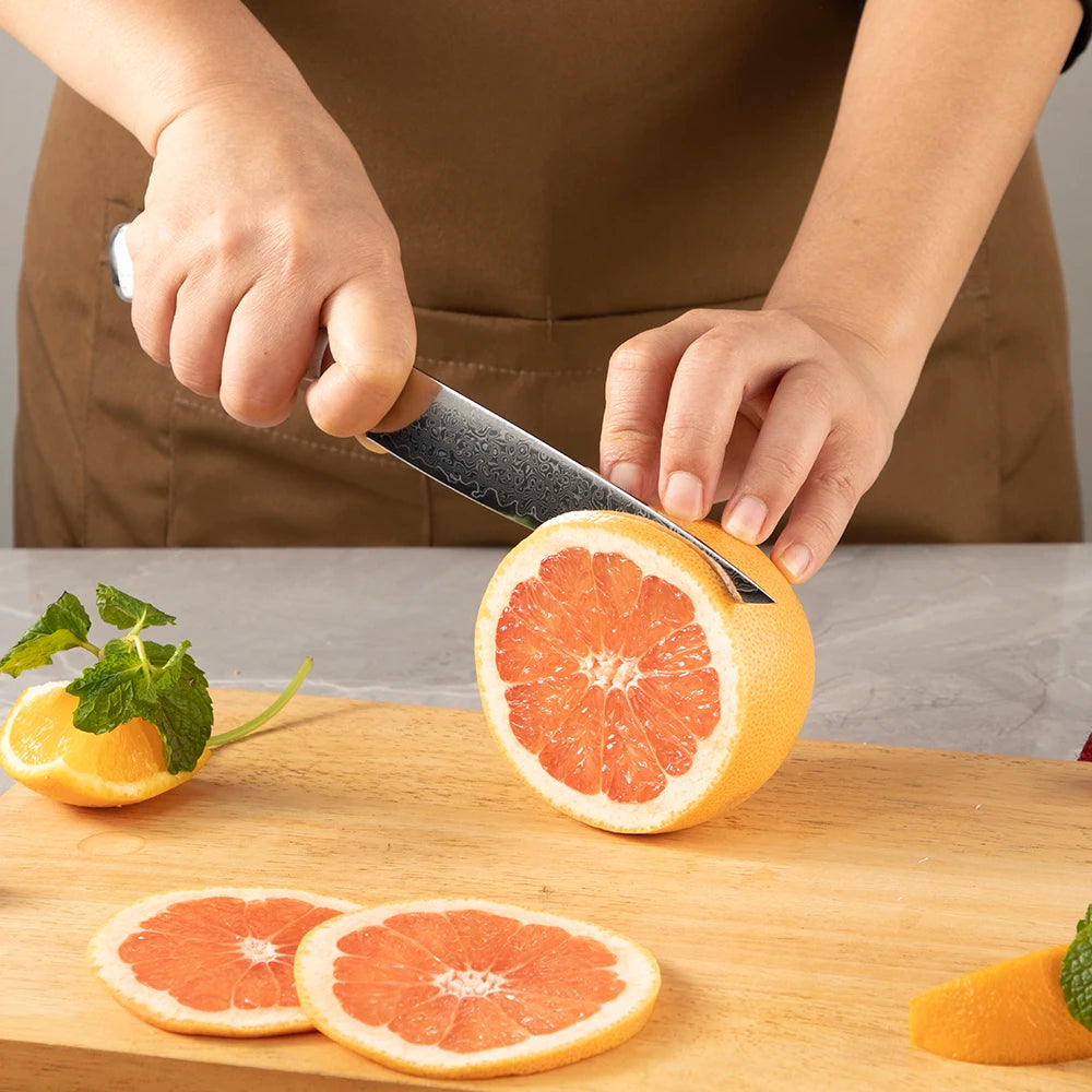 6 Inch Super Sharp All Purpose 67 Layers Damascus VG 10 Steel Kitchen Utility Knife with Turquoise Stone Handle