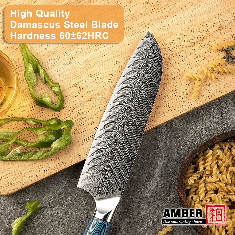 Amber Blue Pakkawood Handle Professional Japanese Damascus Chef Knife Santoku Knife