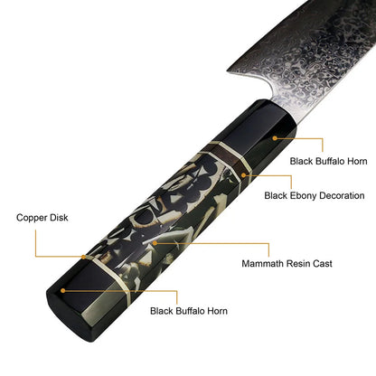 Amber Professional 67layers VG10 Damascus Knife Kitchen Knives Japanese Knife and Mammoth Resin Handle