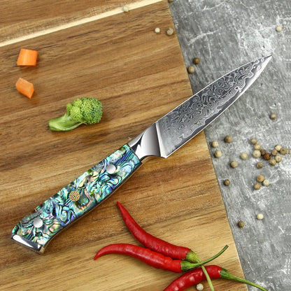 Professional Damascus VG 10 Steel Core 67 Layers Stainless Steel Abalone Handle Kitchen Knives Set