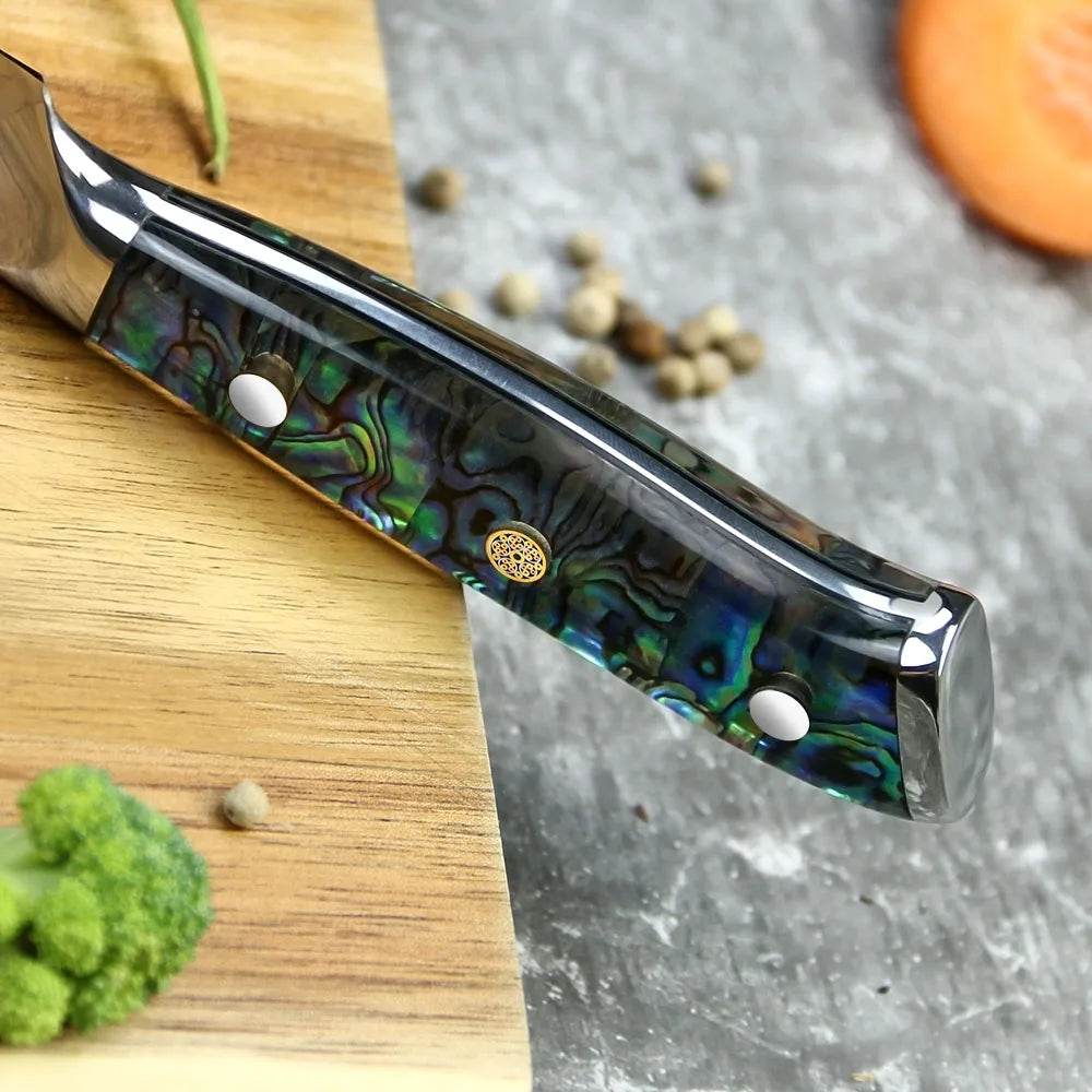 4 Pcs 67 Layers Kitchen Damascus VG 10 Steel Meat Cutting Blade 5 Inch Steak Knife Set with Natural Abalone Handle
