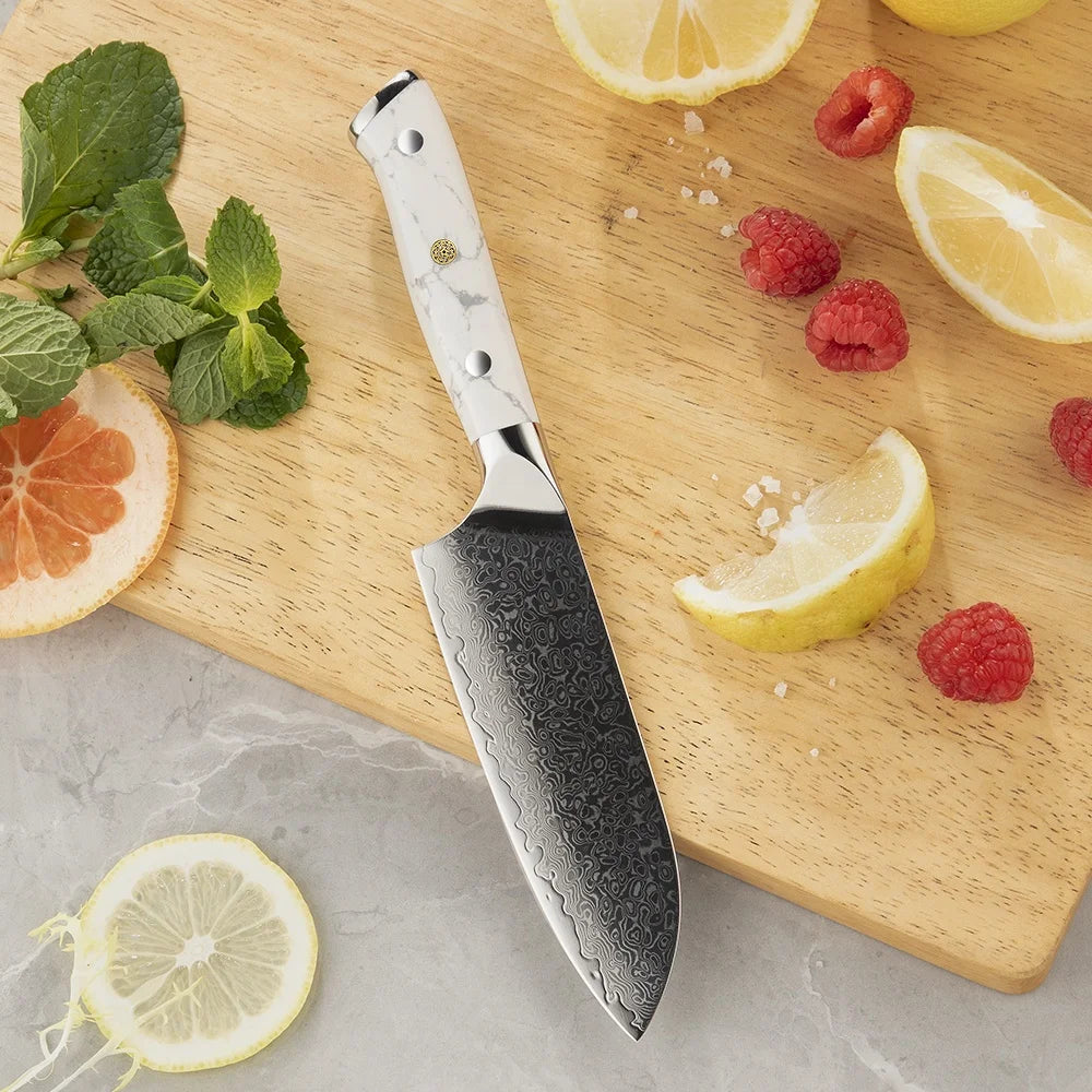 Amber Custom White Turquoise Stone Handled 5inch VG10 Damascus Steel Mini Santoku Chef Knives with Kitchen Knives Santoku