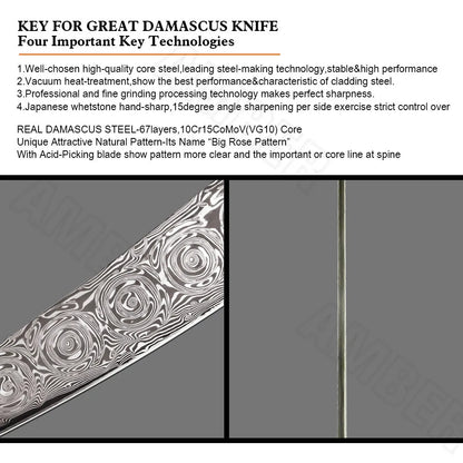 Yangjiang Amber Private Black Blade VG10 Japanese Damascus Steel Knife