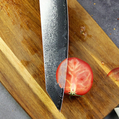 High Quality 67 Layers Damascus VG 10 Steel Kitchen Knife Set with Premium Resin Burl Wood Handle Kiritsuke Knife