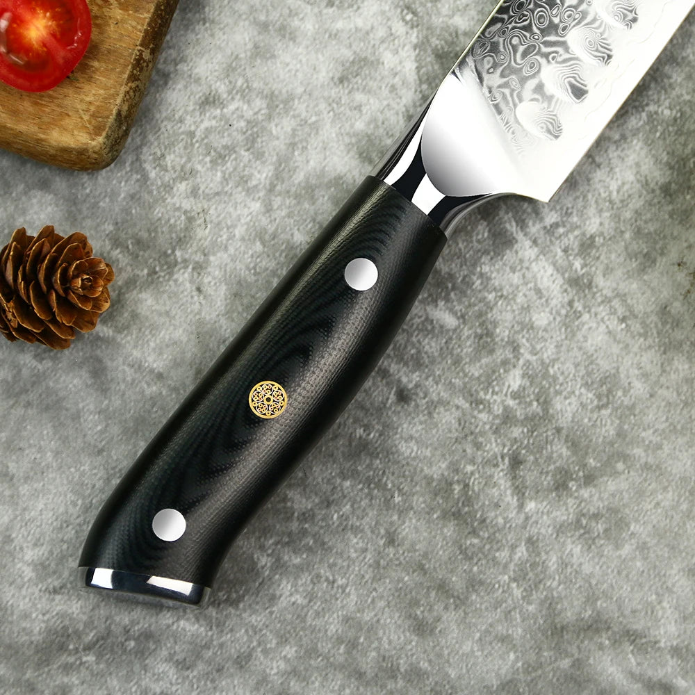 Yangjiang Amber 2021 Unique 67 Layers Vg10 Damascus Steel 10 Inch Carving Kitchen Knife with G10 Handle