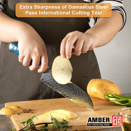 Amber Blue Pakkawood Handle Professional Japanese Damascus Chef Knife Santoku Knife