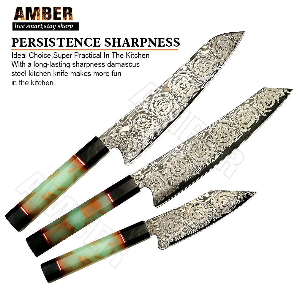 Yangjiang Amber Private Black Blade VG10 Japanese Damascus Steel Knife