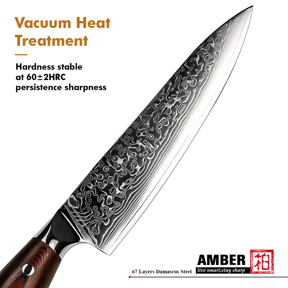8 Inch 67layers Damascus VG 10 Steel Stainless Steel Kitchen Knives Set Chef Knife with Military Grade G10 Handle