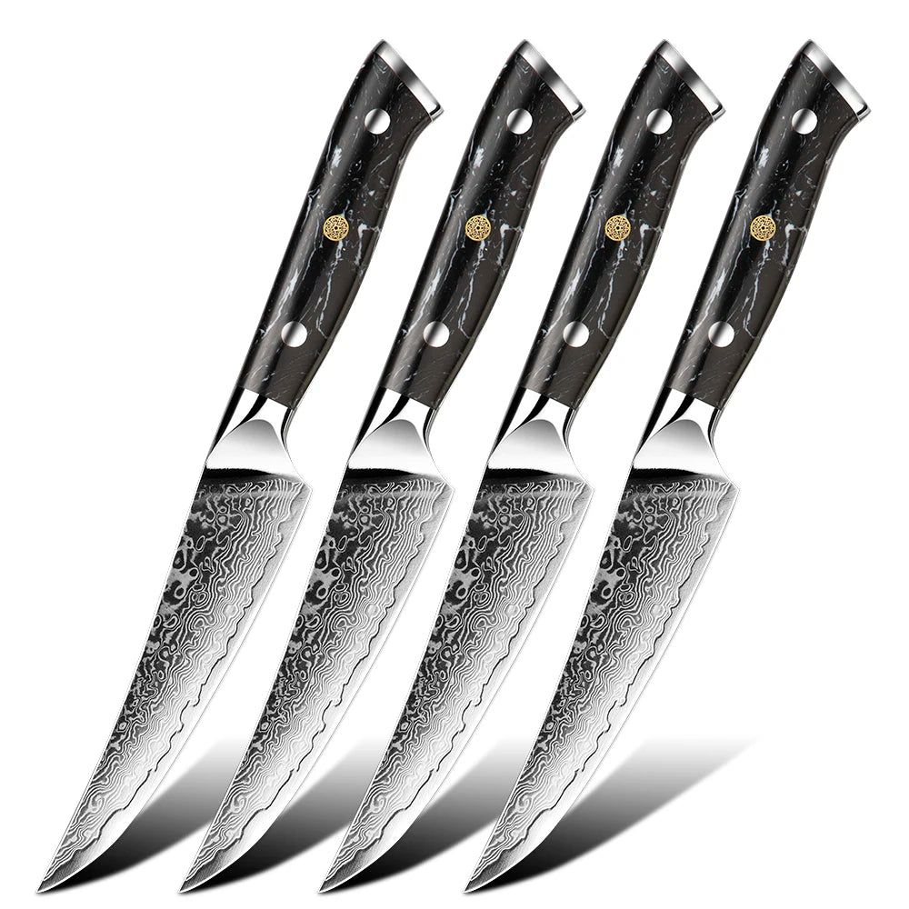 BlackTurquoise Stone Handle Professional Knife Set Damascus Steel Kitchen Knife Set Japanese Damascus Knife Set