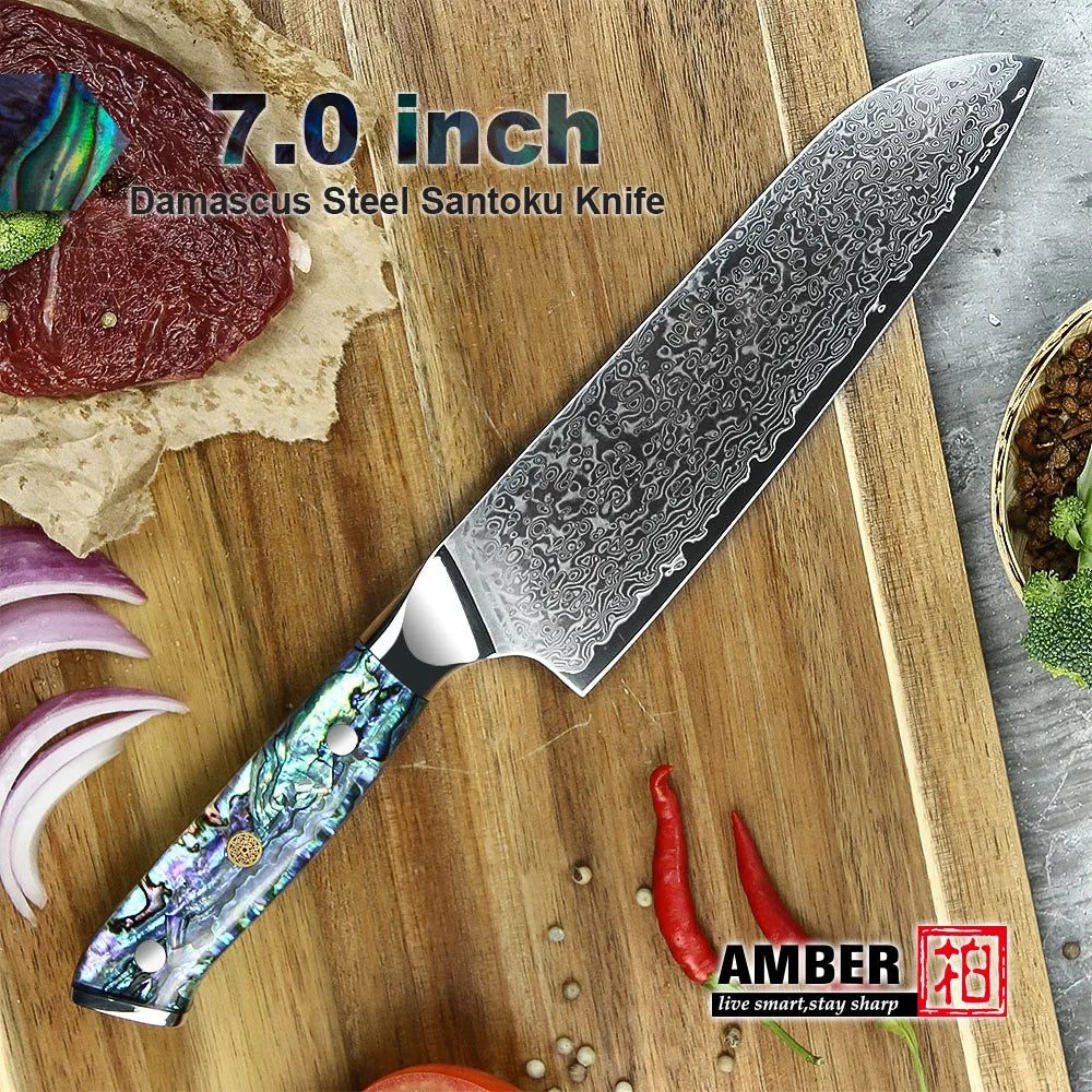 67 Layers Japanese AUS 10 Damascus Steel Kitchen Santoku Kitchen Knife Set with Natural Abalone Handle