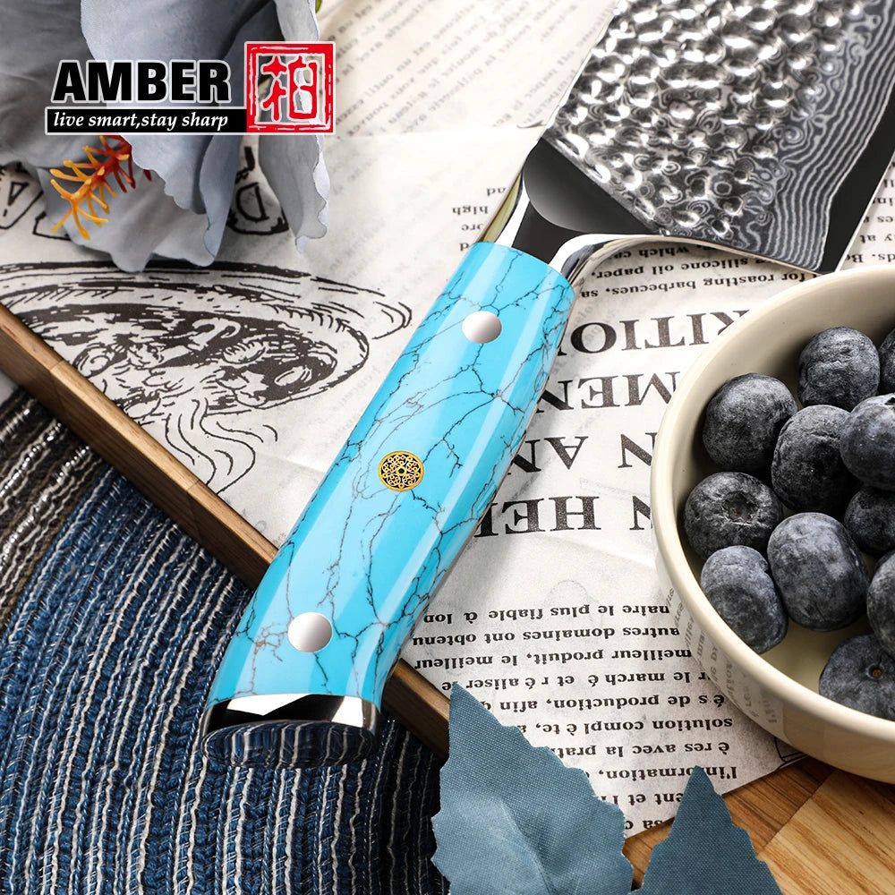 Amber Custom 8 Inch Hammered VG10 Damascus Steel Chef Knife with Blue Turquoise Stone Handle