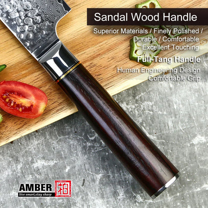 9 Pcs New Design 67 Layers Damascus VG 10 Steel Kitchen Knife Set with Premium Sandal Wood Handle, color - kitchen knife set