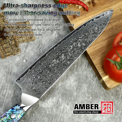 10 Pcs Professional Damascus VG 10 Steel Core 67 Layers Stainless Steel Abalone Handle Kitchen Knives Set