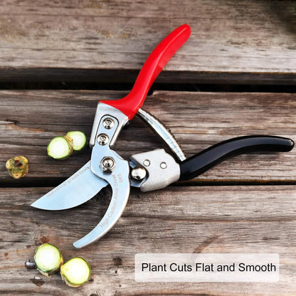 Gold Coated JDPV02 High Carbon Steel Pruning Shears Gardening Gardening Cutting Tools Garden Fruit Tree Pruning Scissors