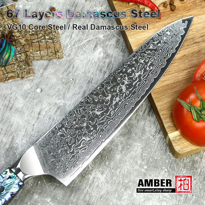 10 Pcs Professional Damascus VG 10 Steel Core 67 Layers Stainless Steel Abalone Handle Kitchen Knives Set