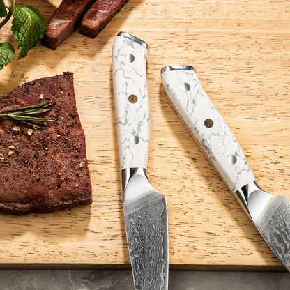 Amber Professional Steak Knives Set of 4 Razor Sharp 4pcs Kitchen Damascus Steak Knife Set With Giftbox Case