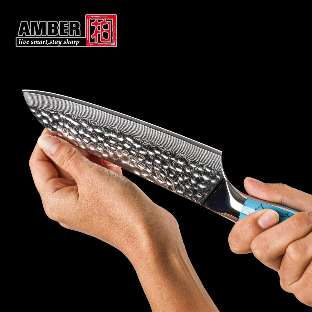 Amber Custom 8 Inch Hammered VG10 Damascus Steel Chef Knife with Blue Turquoise Stone Handle