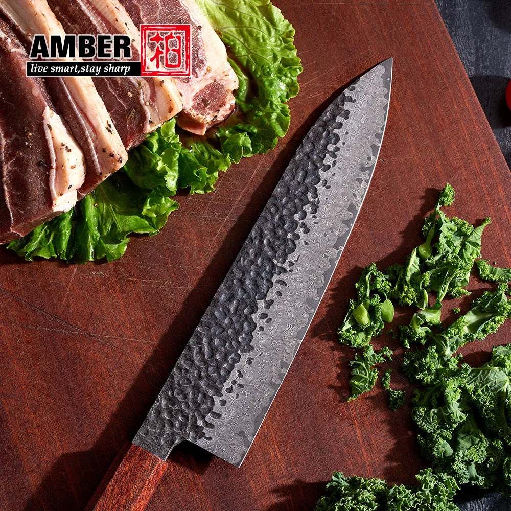 Professional 67layers Vg10 Steel Forged sharp Japanese Kitchen Knives with Wooden Handle