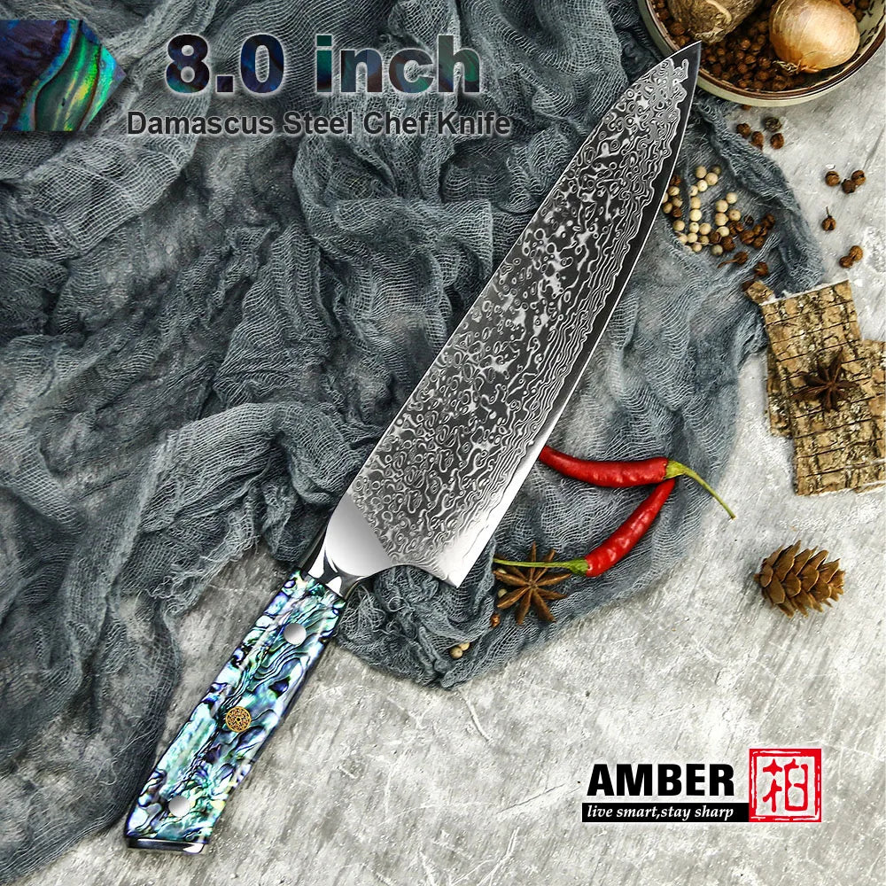 10 Pcs Professional Damascus VG 10 Steel Core 67 Layers Stainless Steel Abalone Handle Kitchen Knives Set