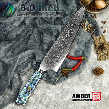 10 Pcs Professional Damascus VG 10 Steel Core 67 Layers Stainless Steel Abalone Handle Kitchen Knives Set