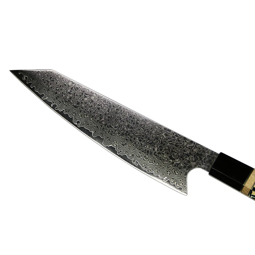 Amber Professional 67layers VG10 Damascus Knife Kitchen Knives Japanese Knife and Mammoth Resin Handle