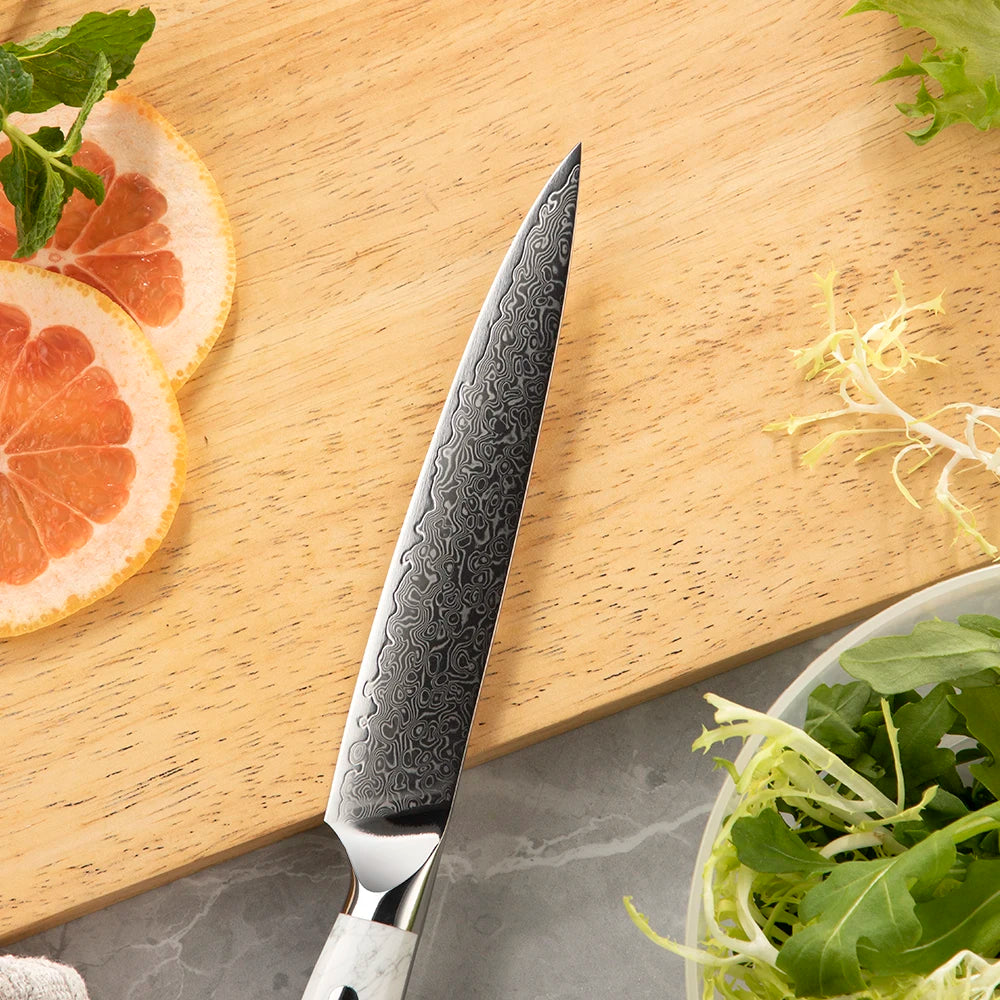 6 Inch Super Sharp All Purpose 67 Layers Damascus VG 10 Steel Kitchen Utility Knife with Turquoise Stone Handle