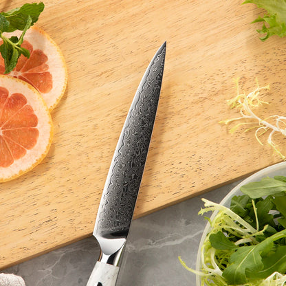 6 Inch Super Sharp All Purpose 67 Layers Damascus VG 10 Steel Kitchen Utility Knife with Turquoise Stone Handle