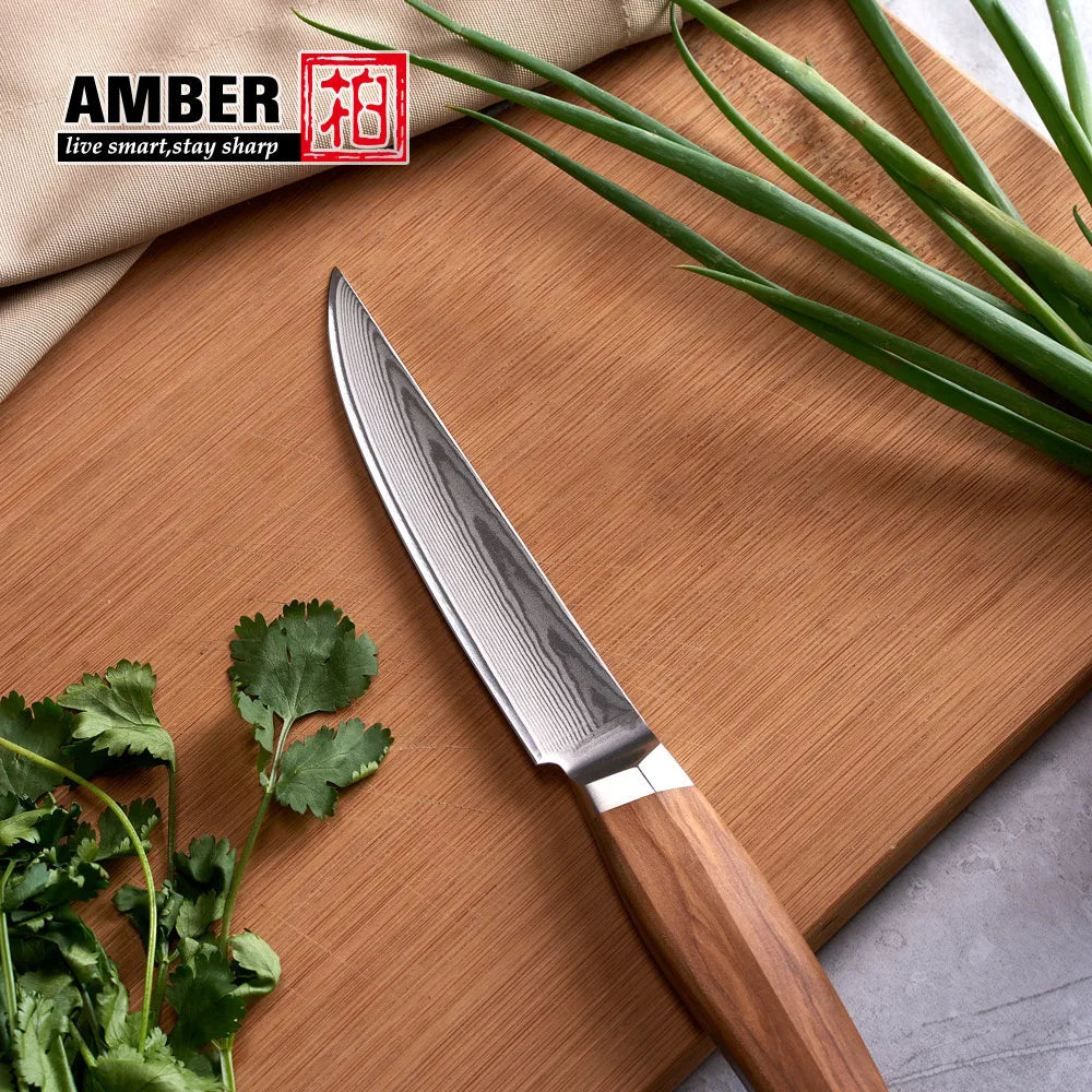 Original Design 5 Inch 67 Layers VG10 Damascus Steel Kitchen Knives Cutlery Restaurant Steak Beef Knife with Olive Wood Handle