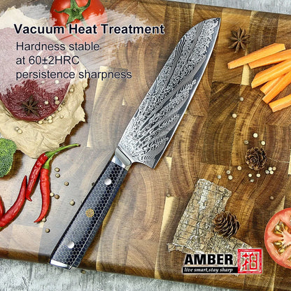 YANGJANG AMBER Premium Honey Comb Resin Handle Damascus Steel Vg10 Japanese Knife/knife Set