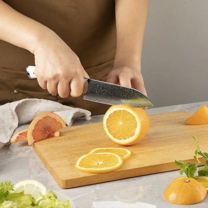 Amber Custom White Turquoise Stone Handled 5inch VG10 Damascus Steel Mini Santoku Chef Knives with Kitchen Knives Santoku