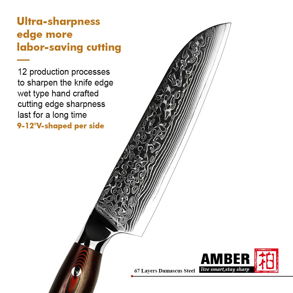 8 Inch 67layers Damascus VG 10 Steel Stainless Steel Kitchen Knives Set Chef Knife with Military Grade G10 Handle