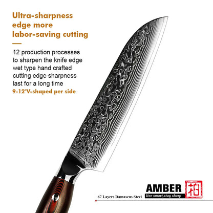 8 Inch 67layers Damascus VG 10 Steel Stainless Steel Kitchen Knives Set Chef Knife with Military Grade G10 Handle